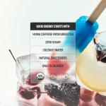 GURU Zero Sugar Organic Energy Drink Variety Pack