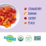 YumEarth Organic Fruit Snacks - Pack of 10