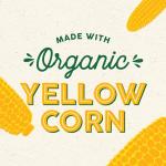 Late July Organic Sea Salt Tortilla Chips - 10.1 oz