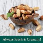 Raw Brazil Nuts – High Selenium, Non-GMO, Resealable