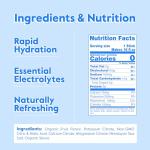 Nectar Electrolyte Hydration Packets - Sugar Free