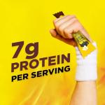 Buffalo Wild Wings Honey BBQ Chicken Sticks