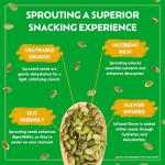 Raw Sprouted Pumpkin & Sunflower Seed Snack