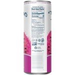 Waterloo Dragon Fruit Punch Flavored Sparkling Water - 12 Cans