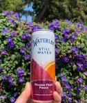 Waterloo Dragon Fruit Punch Flavored Sparkling Water - 12 Cans