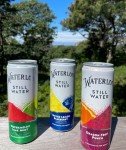Waterloo Dragon Fruit Punch Flavored Sparkling Water - 12 Cans