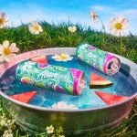 Alani Nu Watermelon Wave Energy Drinks - 12 Pack