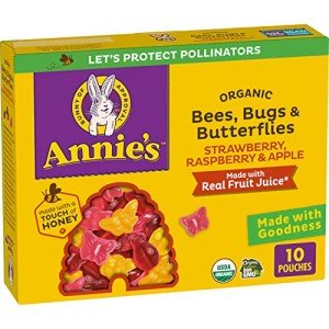 Annie's Organic Fruity Snacks - 10 Pouches