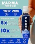 Karma Probiotic Blueberry Lemonade - 12 Pack