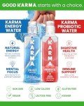 Karma Probiotic Blueberry Lemonade - 12 Pack