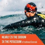 Gatorade Endurance Lemon Lime Powder - 32oz