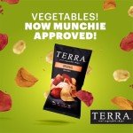 Terra Sea Salt Vegetable Chips, 24-Pack