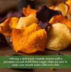 Healthy Sea-Salted Vegetable Chips - 3 lbs