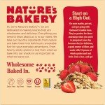 Strawberry Oatmeal Crumble Bars - Nature's Bakery 6 Ct