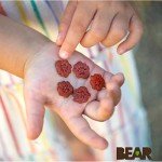 BEAR Strawberry Fruit Snack Minis - Pack of 18