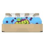 Acai Grape Splash Refresher Drink, 24 Bottles