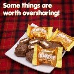 Whitman's S'Mores Caramel Milk Chocolate Treats 7.3 oz