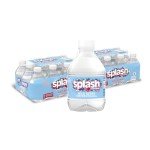 Wild Berry Splash Refresher - 24 Pack Bottles