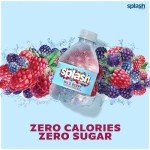 Wild Berry Splash Refresher - 24 Pack Bottles