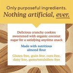 Chocolate Chip Almond Flour Cookies - Vegan Snack