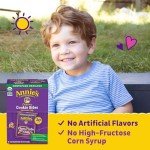 Annie's Organic Chocolate Chip Snack Bites, 10 Pouches