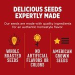 DAVID Jumbo Roasted Salted Sunflower Seeds, Original