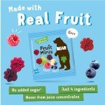 BEAR Real Fruit Snack Minis, Raspberry & Blueberry