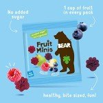 BEAR Real Fruit Snack Minis, Raspberry & Blueberry