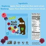 BEAR Real Fruit Snack Minis, Raspberry & Blueberry