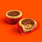 REESE'S Miniature Milk Chocolate Peanut Butter Cups