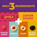 Zest Delites Vegan Fruit Snack Strips - 36 Pack