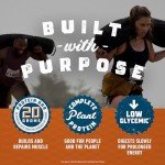 CLIF Builders Chocolate Peanut Butter Protein Bars - 12 Pack