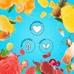 Shameless Snacks Healthy Low Sugar Candy Variety Pack