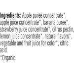 Strawberry Banana Vegan Fruit Bars - 24 Pack