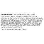 Mixed Berry Funables Fruity Snacks, 22 Count