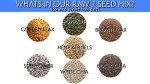 Raw Super 7 Seed Snack Trail Mix - 1 LB