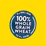 Nabisco Whole Grain Veggie Wheat Chips Snack Packs