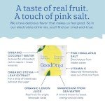 Organic Electrolyte Drink Mix - Lemonade Flavor