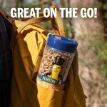 Healthy Plant-Based Sunflower Seed Snacks (4 Count)