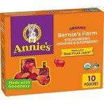 Annie's Organic Fruit Snacks – Gluten Free, 10 Pack