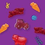 Annie's Organic Fruit Snacks – Gluten Free, 10 Pack