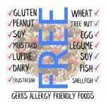 GERBS Superfood Snack Mix - Allergy-Free Bulk Bag