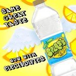 Lemon Water Splash Refresher - 24 Bottles