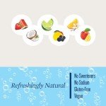 Polar Seltzer Variety Pack - 18 Cans