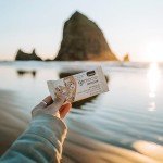 GoMacro Organic Vegan Protein Bars - Coconut Almond