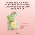 Green Rabbit Tin with 6 Assorted Chocolate Eggs