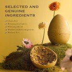 Green Rabbit Tin with 6 Assorted Chocolate Eggs