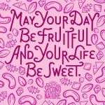 Wholesome Medley Trail Mix - 12 Snack Packs