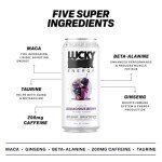Lucky Energy Sugar Free Energy Drink Variety Pack