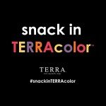 Terra Taro Sea Salt Vegetable Chips, 6 Oz